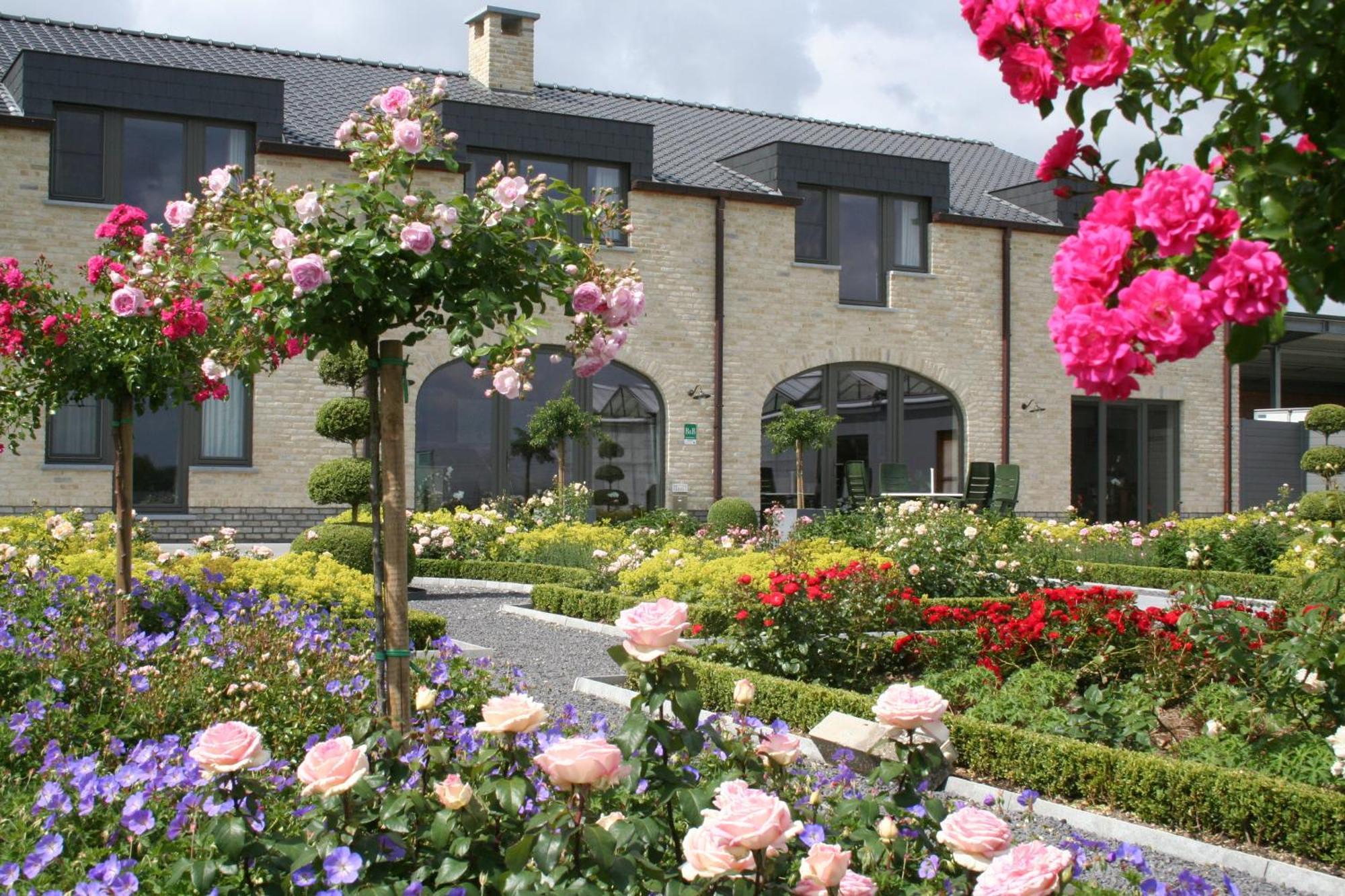 B&B La Vie En Roses Moorsel Extérieur photo