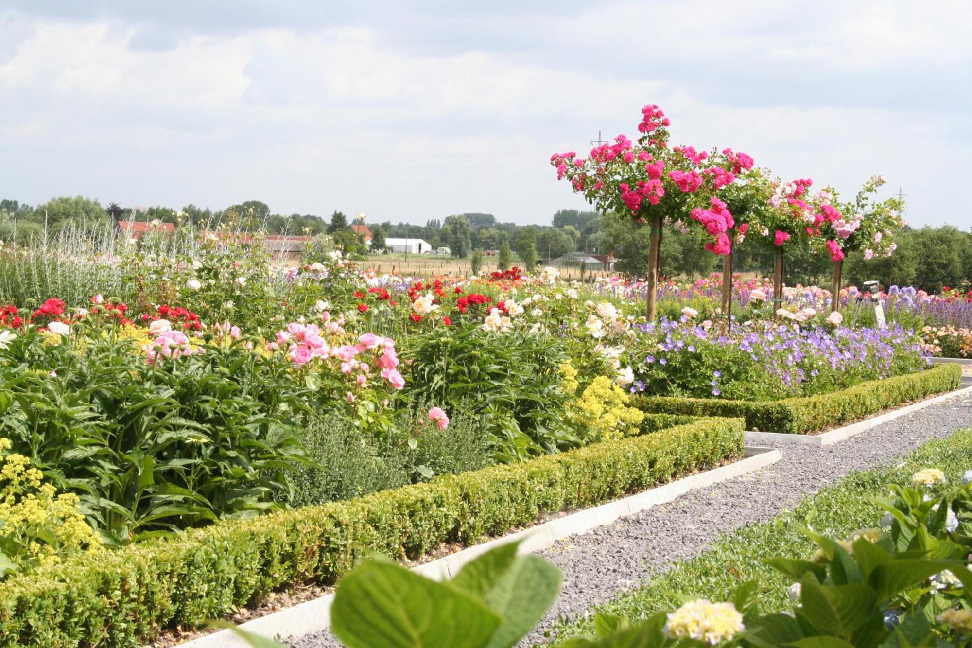 B&B La Vie En Roses Moorsel Extérieur photo