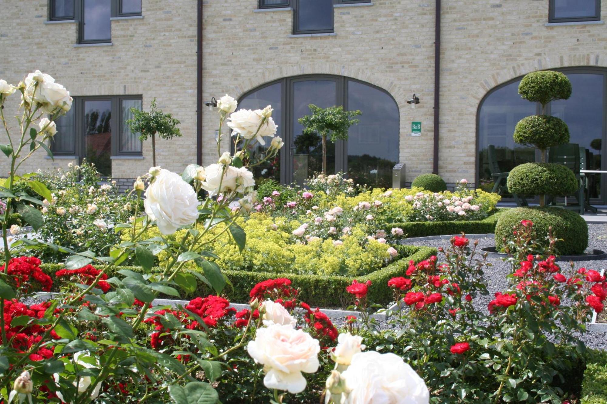 B&B La Vie En Roses Moorsel Extérieur photo